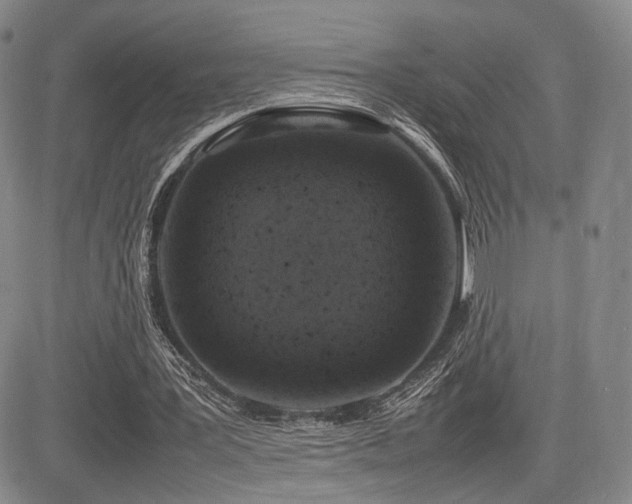 X0000085070387200703051413