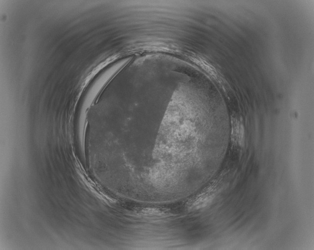 X0000085070390200703051413