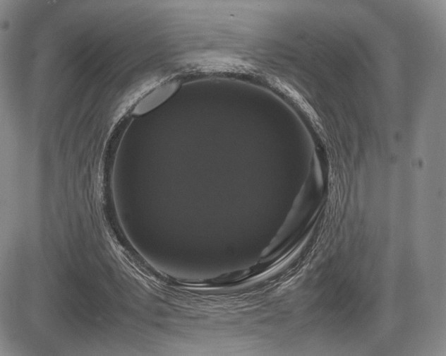 X0000085070391200703051413