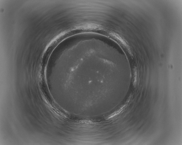 X0000085070392200703051413