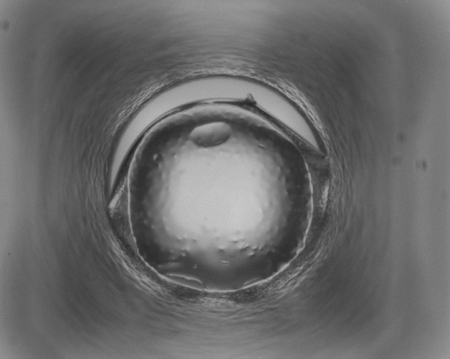 X0000085070393200703051413
