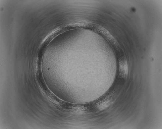 X0000085070396200703051413