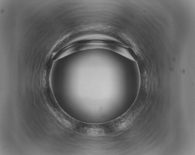 X0000085070400200703051413