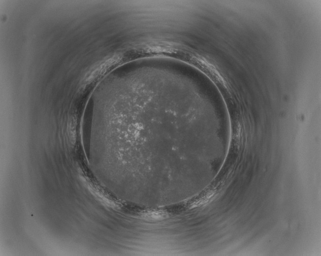 X0000085070402200703051413