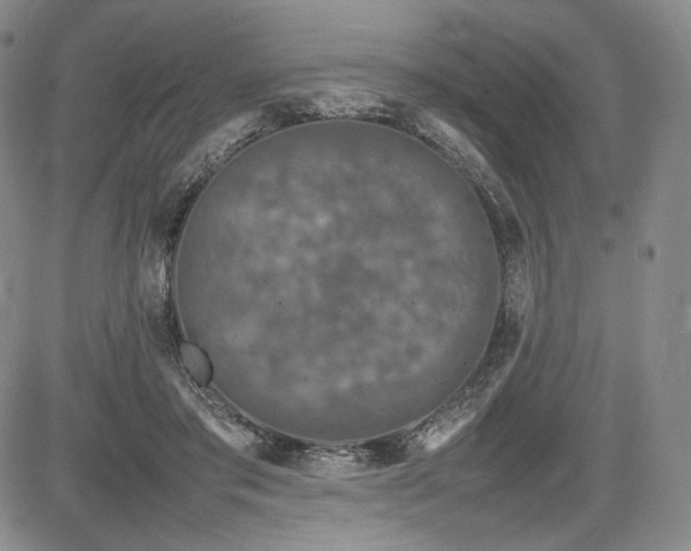 X0000085070405200703051413