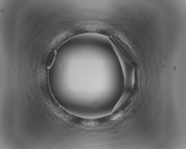 X0000085070407200703051413