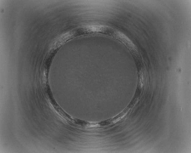 X0000085070410200703051413