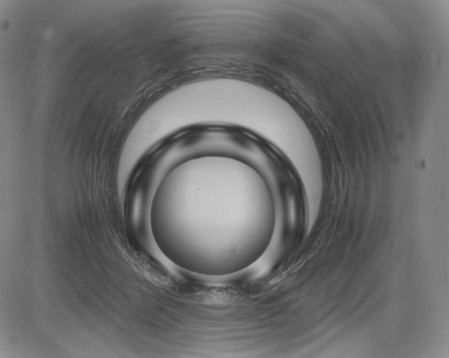 X0000085070412200703051412