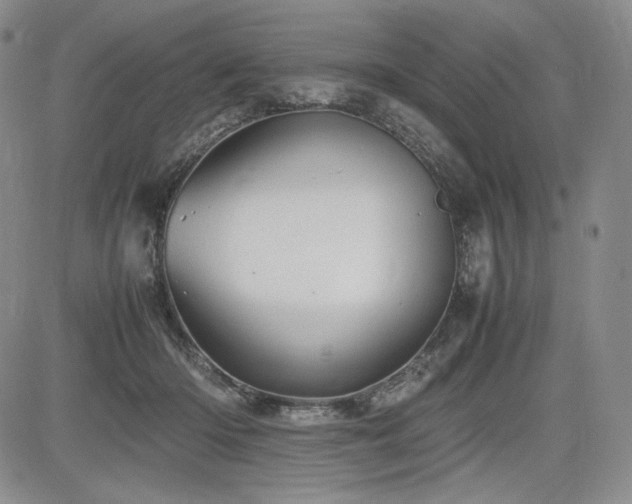 X0000085070414200703051412