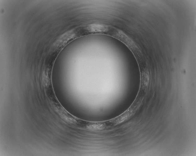 X0000085070422200703051412