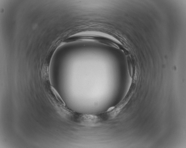 X0000085070429200703051412