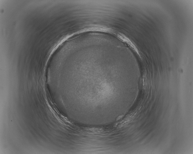 X0000085070436200703051411