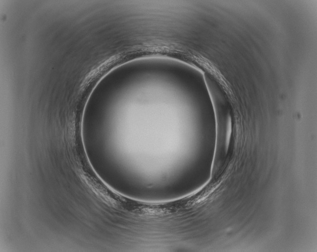 X0000085070442200703051411