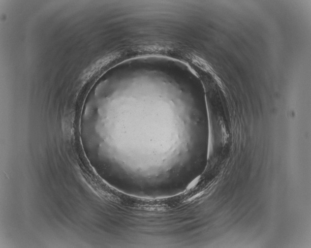 X0000085070443200703051412