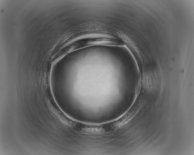 X0000085070449200703051412