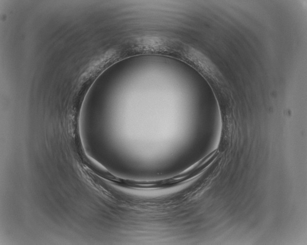 X0000085070450200703051412