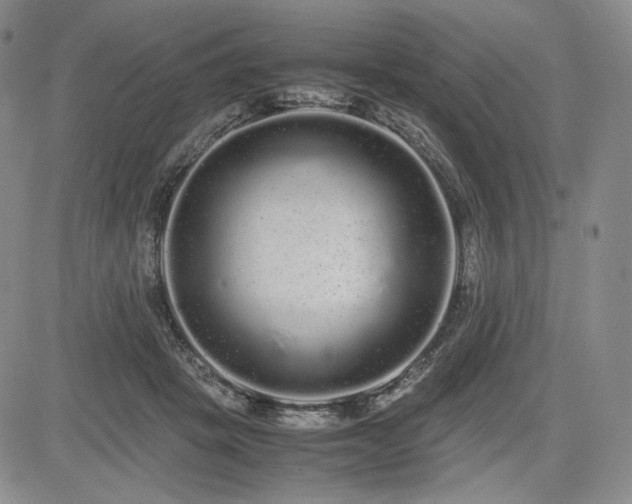 X0000085070457200703051412