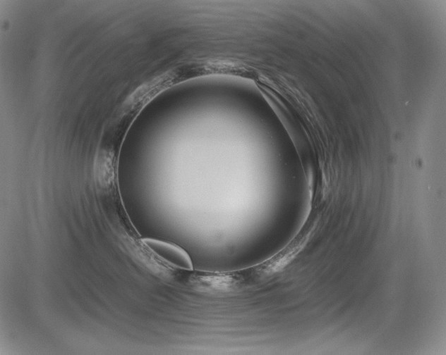 X0000085070478200703051412