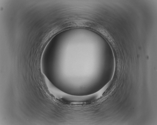 X0000085070481200703051411