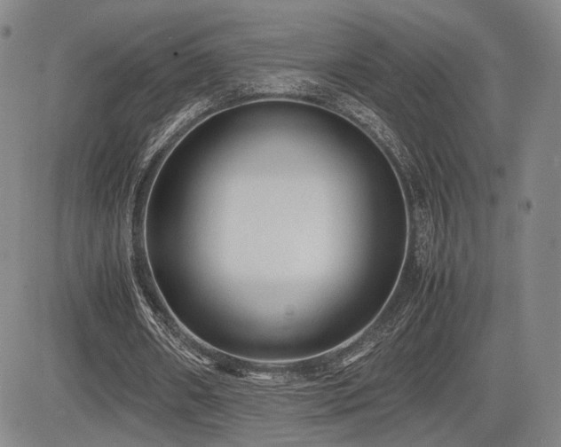 X0000085070482200703051411