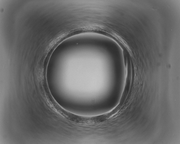 X0000085070485200703051411