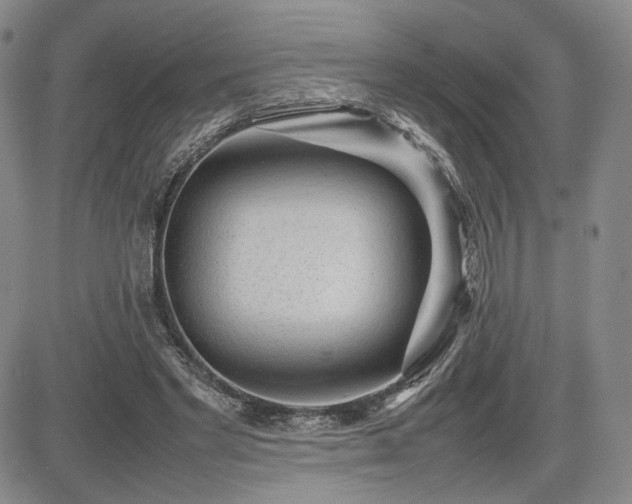 X0000085070493200703051411