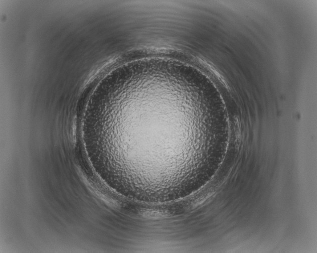 X0000085070494200703051411