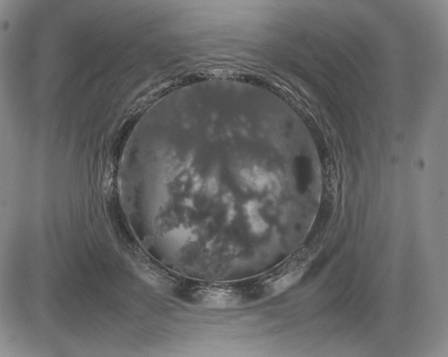 X0000085070507200703051411