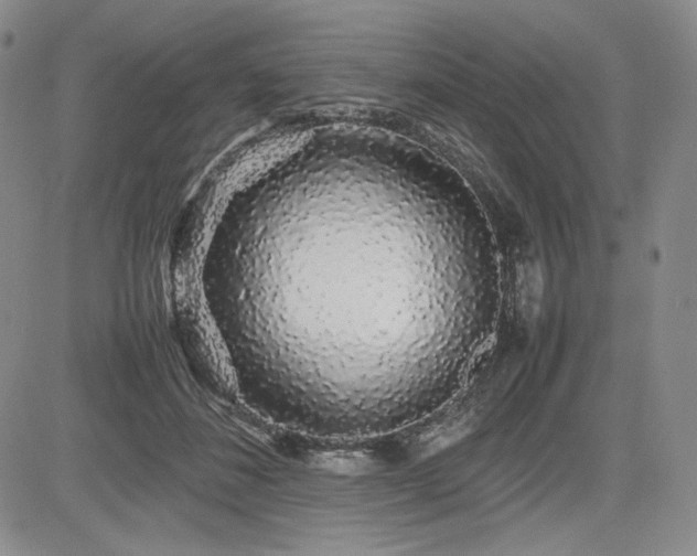 X0000085070508200703051411