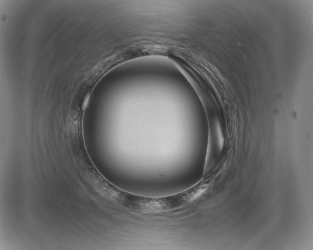 X0000085070513200703051411