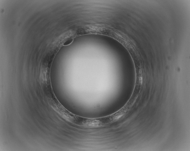 X0000085070514200703051411