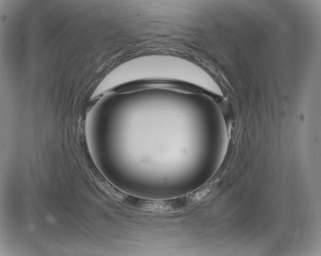 X0000085070521200703051411
