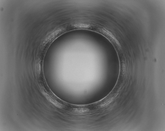 X0000085070541200703051410