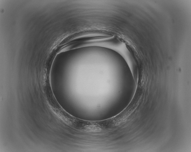 X0000085070544200703051410