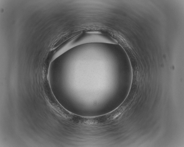 X0000085070546200703051410