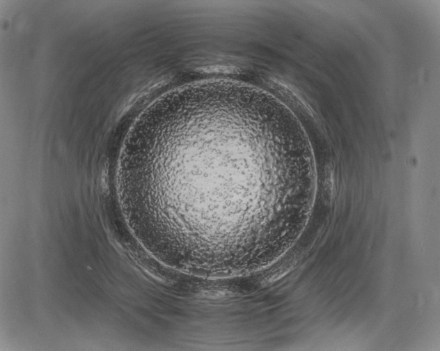 X0000085070547200703051410