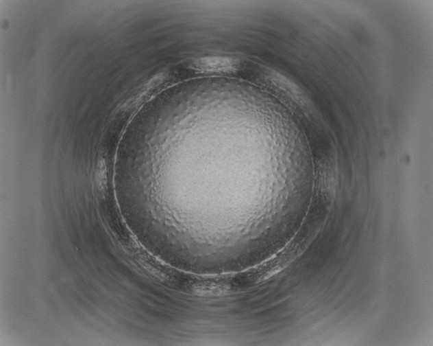 X0000085070549200703051410