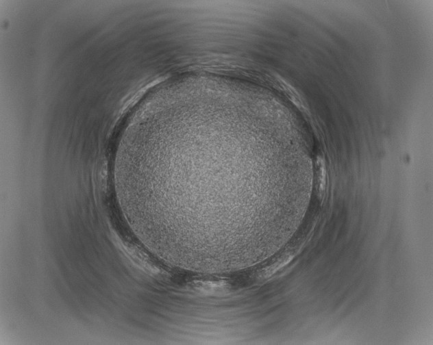 X0000085070552200703051410