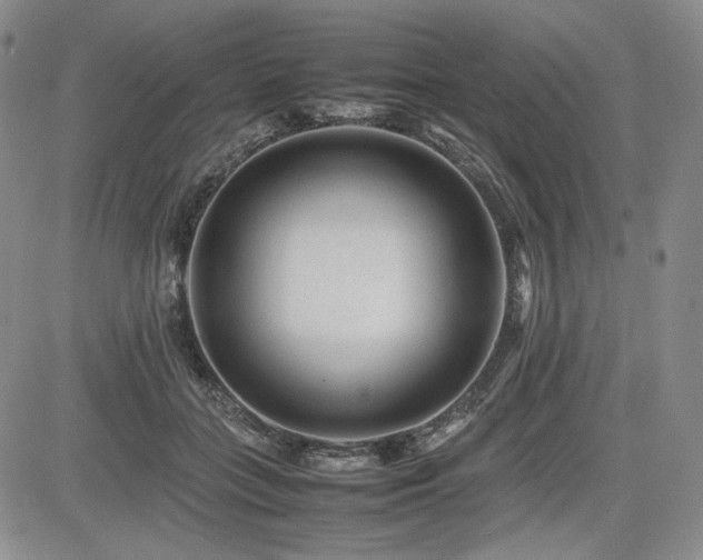 X0000085070555200703051410
