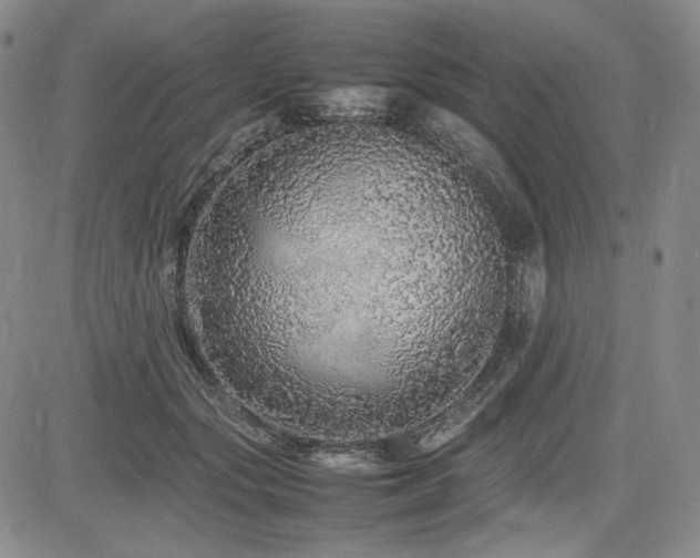 X0000085070557200703051410