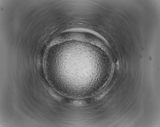 X0000085070566200703051410