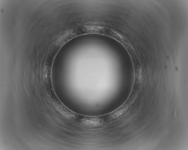 X0000085070567200703051410