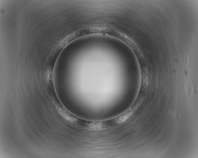 X0000085070574200703051410