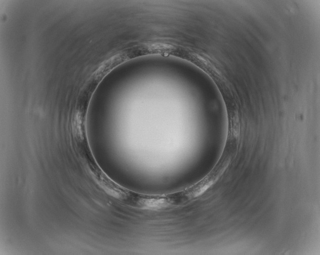 X0000085070575200703051410