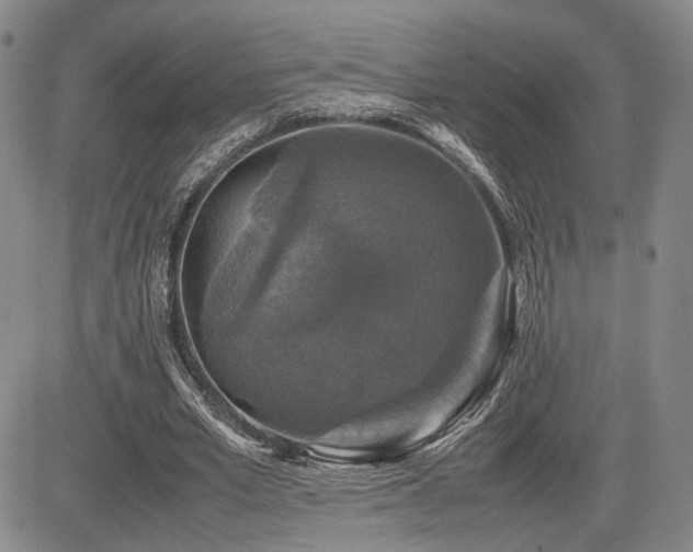 X0000085070581200703051410