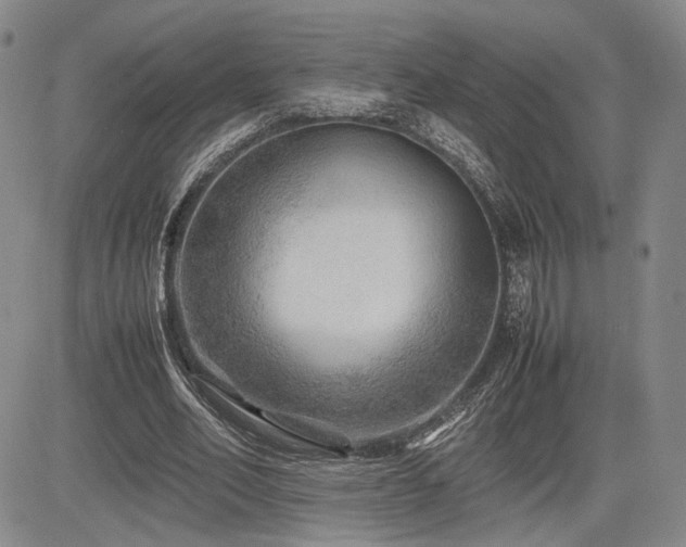 X0000085070582200703051410