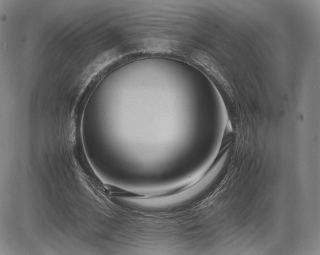 X0000085070584200703051410