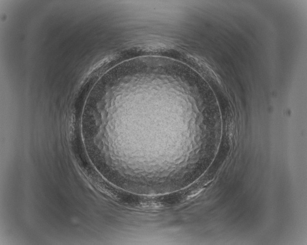 X0000085070591200703051409