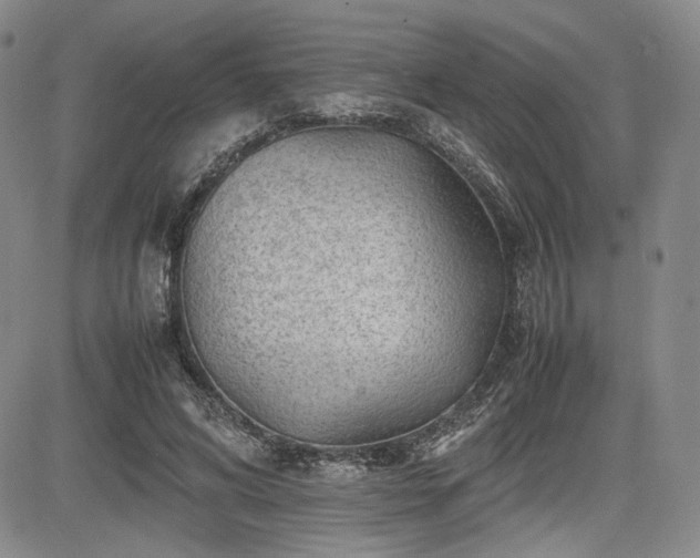 X0000085070592200703051409