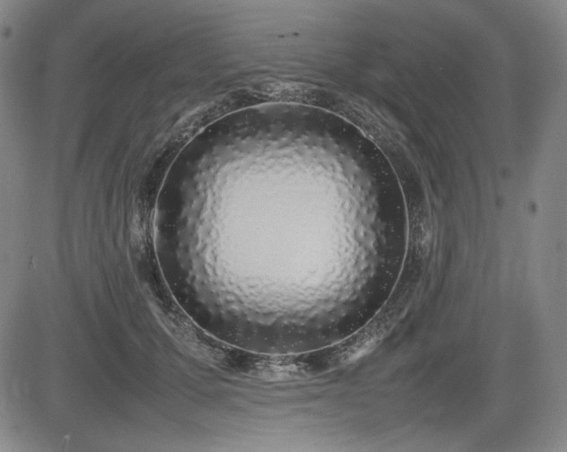 X0000085070607200703051409